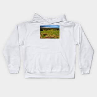 Cedar Breaks National Monument Kids Hoodie